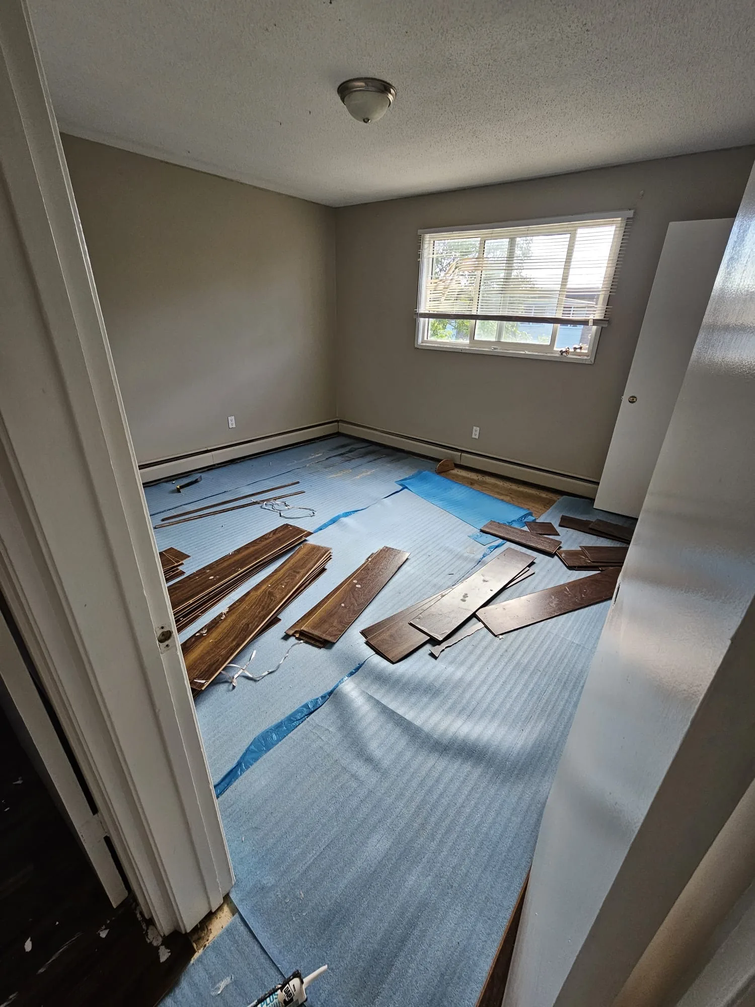 Lvp Bedroom Underlayment Install Start — Stampede Flooring Calgary